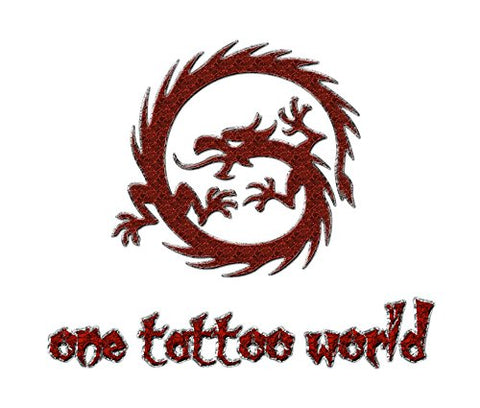 Image of 1Tattoo World Premium Tattoo Kit-OTW-KTR225A, 2 Tattoo Machines with all the Essentials